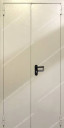 Двупольная глухая дверь EI 60 RAL 7035 нестандартная (есть сертификат) (07)