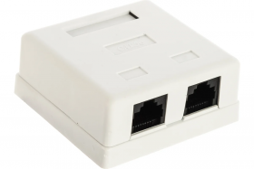 TWT Розетка настенная, 2 порта RJ-45, категория 5е, белая,SM2-4545-WH